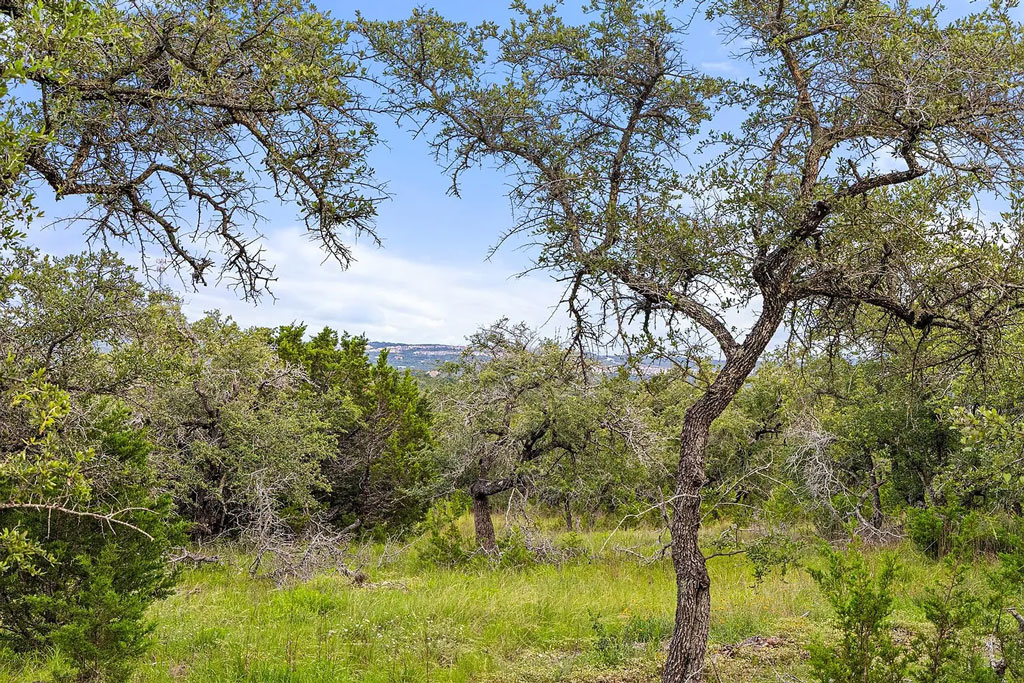 31860-Mirela-Ann-Rd-Dripping-Springs-TX-78620-Listed-by-Jenny-Cureton
