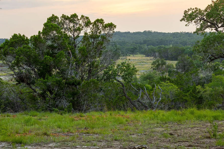 3-Shiloh-Cir-Wimberly-TX-78676-Listed-by-Jenny-Curton