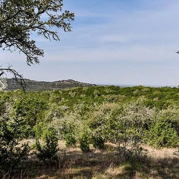 Dripping-Springs-TX-Hometown-Charm-Realty-Jenny-Cureton-Featured
